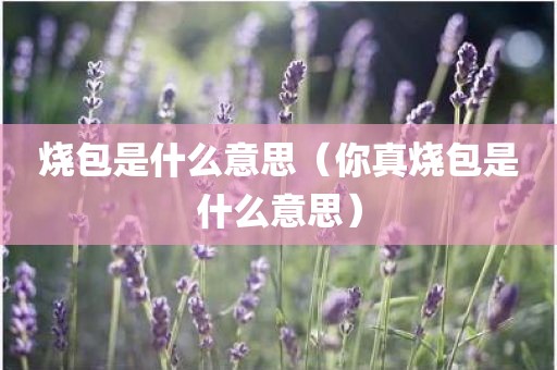 烧包是什么意思（你真烧包是什么意思）