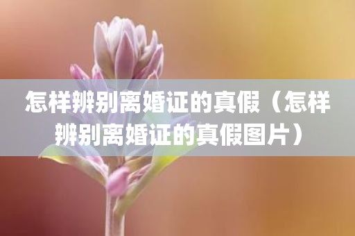 怎样辨别离婚证的真假（怎样辨别离婚证的真假图片）