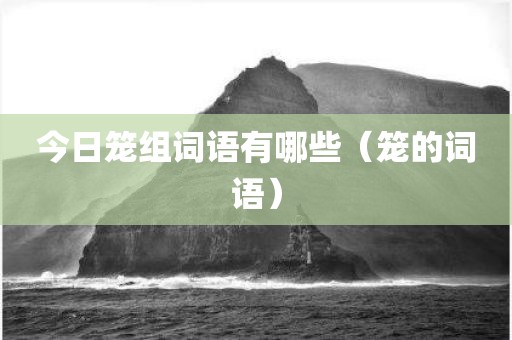 今日笼组词语有哪些（笼的词语）