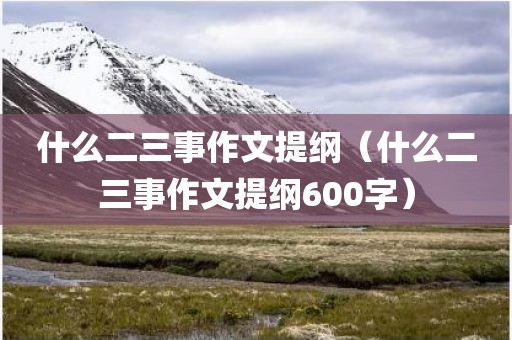 什么二三事作文提纲（什么二三事作文提纲600字）