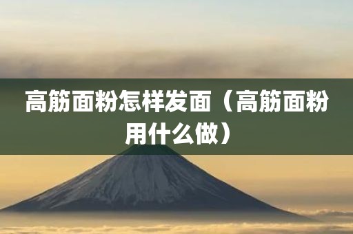 高筋面粉怎样发面（高筋面粉用什么做）