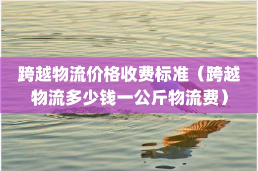 跨越物流价格收费标准（跨越物流多少钱一公斤物流费）