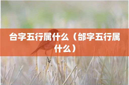 台字五行属什么（邰字五行属什么）