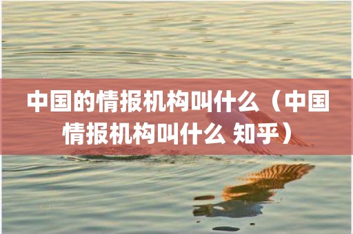 中国的情报机构叫什么(中国情报机构叫什么 知乎)