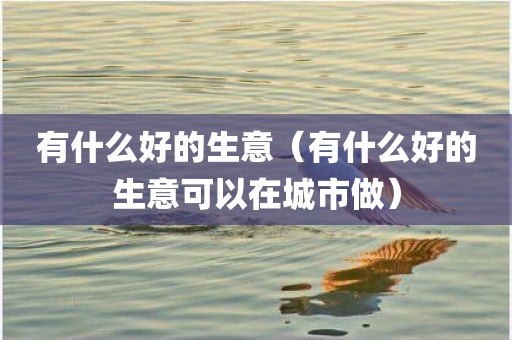 有什么好的生意（有什么好的生意可以在城市做）