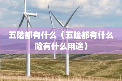 五险都有什么（五险都有什么险有什么用途）