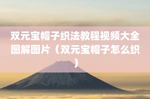 双元宝帽子织法教程视频大全图解图片（双元宝帽子怎么织）