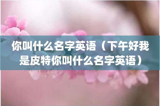 你叫什么名字英语（下午好我是皮特你叫什么名字英语）