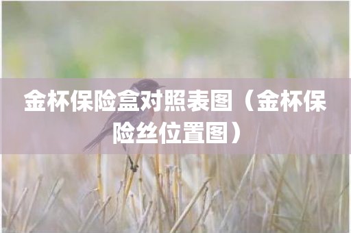 金杯保险盒对照表图（金杯保险丝位置图）
