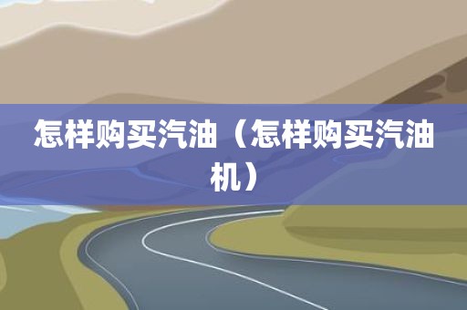 怎样购买汽油（怎样购买汽油机）