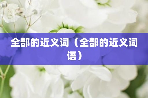 全部的近义词(全部的近义词语) 全部的近义词(全部的近义词语)
