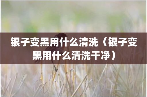 银子变黑用什么清洗（银子变黑用什么清洗干净）