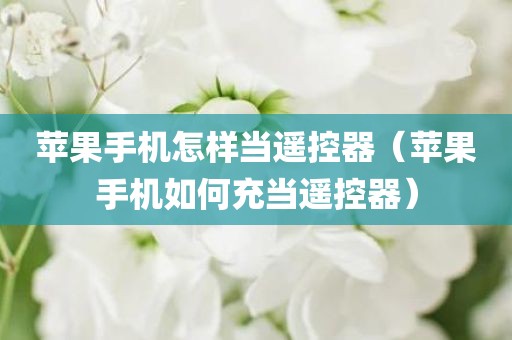 苹果手机怎样当遥控器（苹果手机如何充当遥控器）
