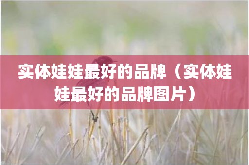 实体娃娃最好的品牌（实体娃娃最好的品牌图片）