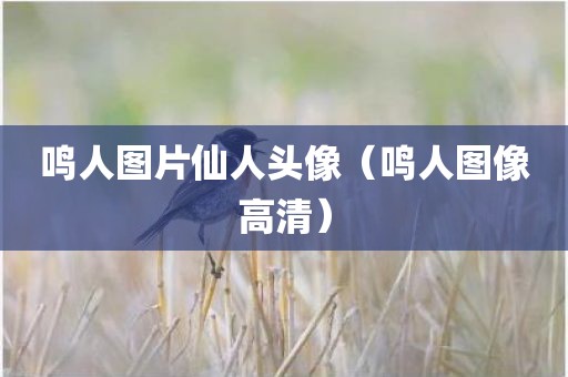 鸣人图片仙人头像（鸣人图像高清）