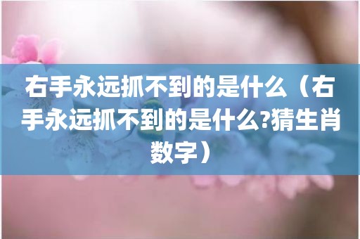 右手永远抓不到的是什么（右手永远抓不到的是什么?猜生肖数字）