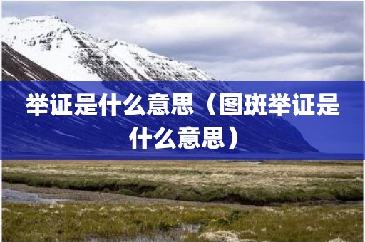 举证是什么意思（图斑举证是什么意思）