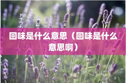 回味是什么意思（回味是什么意思啊）