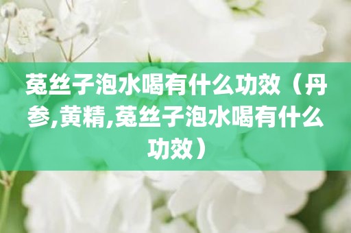 菟丝子泡水喝有什么功效(丹参,黄精,菟丝子泡水喝有什么功效)