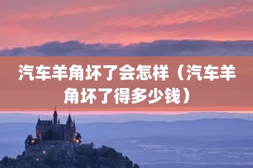 汽车羊角坏了会怎样（汽车羊角坏了得多少钱）
