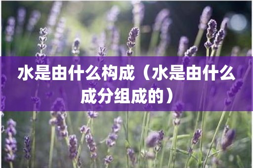 水是由什么构成（水是由什么成分组成的）