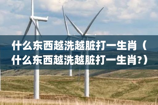 什么东西越洗越脏打一生肖(什么东西越洗越脏打一生肖?)