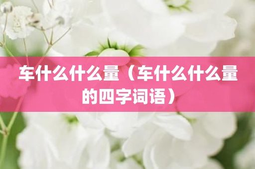车什么什么量(车什么什么量的四字词语)