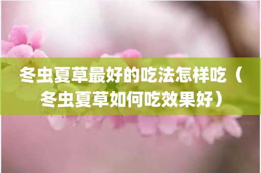冬虫夏草最好的吃法怎样吃（冬虫夏草如何吃效果好）
