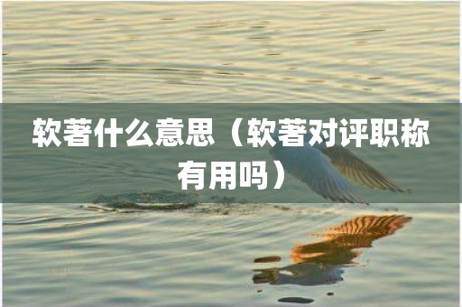 软著什么意思（软著对评职称有用吗）