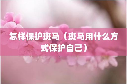 怎样保护斑马（斑马用什么方式保护自己）