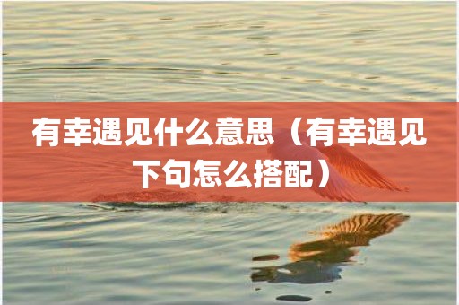 有幸遇见什么意思（有幸遇见下句怎么搭配）