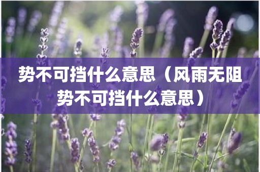 势不可挡什么意思（风雨无阻势不可挡什么意思）