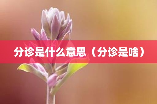 分诊是什么意思（分诊是啥）