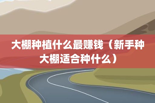 大棚种植什么最赚钱（新手种大棚适合种什么）
