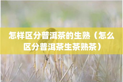 怎样区分普洱茶的生熟（怎么区分普洱茶生茶熟茶）