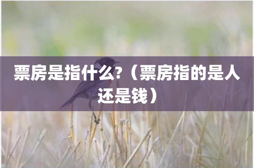 票房是指什么?(票房指的是人还是钱)