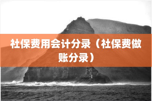 社保费用会计分录(社保费做账分录)