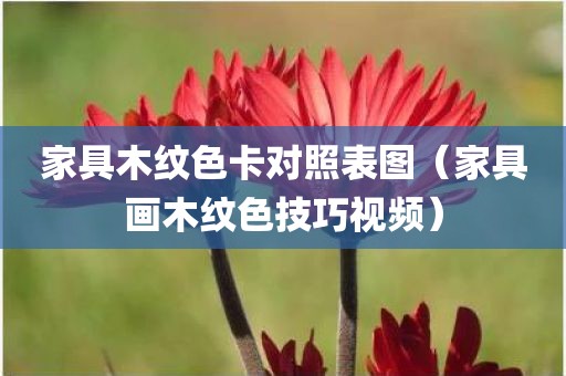 家具木纹色卡对照表图（家具画木纹色技巧视频）
