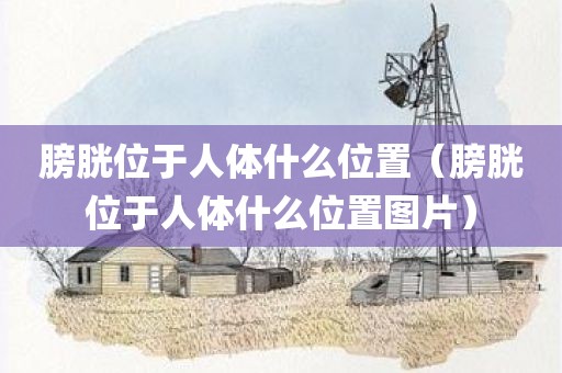 膀胱位于人体什么位置（膀胱位于人体什么位置图片）
