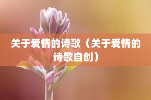 关于爱情的诗歌（关于爱情的诗歌自创）