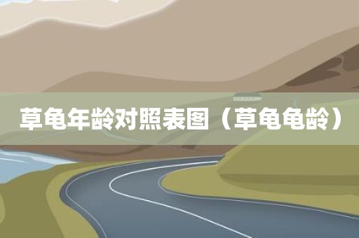 草龟年龄对照表图（草龟龟龄）