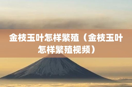 金枝玉叶怎样繁殖（金枝玉叶怎样繁殖视频）