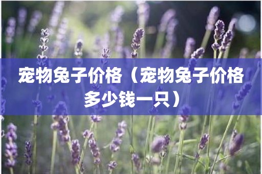 宠物兔子价格(宠物兔子价格多少钱一只) 宠物兔子价格(宠物兔子价格多少钱一只)