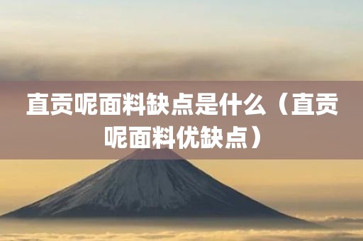直贡呢面料缺点是什么（直贡呢面料优缺点）