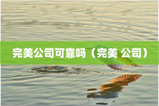 完美公司可靠吗（完美 公司）