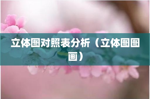 立体图对照表分析（立体图图画）