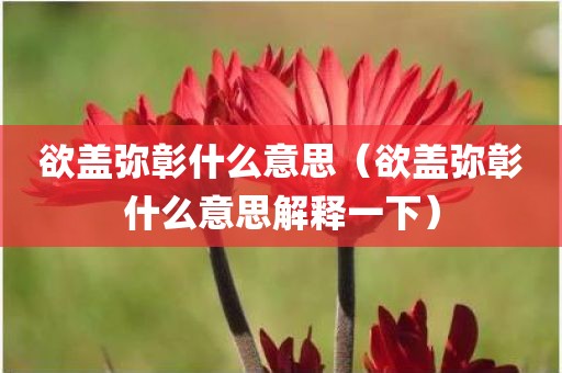 欲盖弥彰什么意思（欲盖弥彰什么意思解释一下）