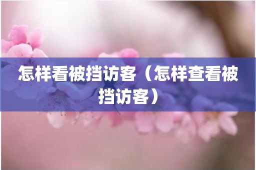 怎样看被挡访客（怎样查看被挡访客）
