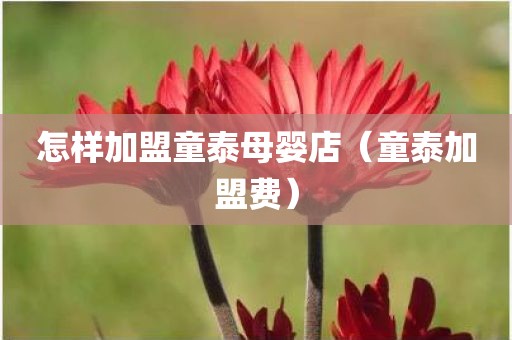 怎样加盟童泰母婴店（童泰加盟费）