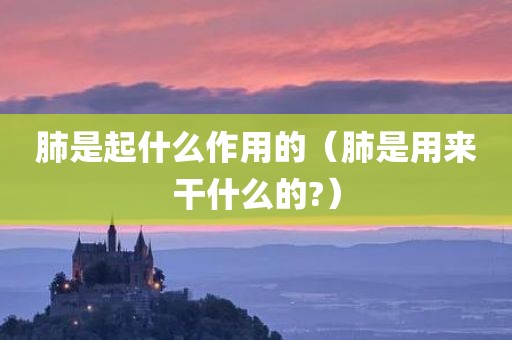 肺是起什么作用的（肺是用来干什么的?）